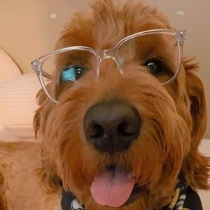 Meet your Posher, Fiona